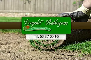 Leopolds Rullegræs image