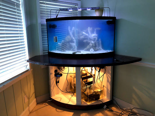 Tropical Fish Store «Hooked On Reefs», reviews and photos, 228 Hibiscus St #1, Jupiter, FL 33458, USA