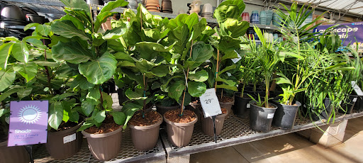 Electronics Store «Best Buy», reviews and photos, 13711 W Bell Rd, Surprise, AZ 85374, USA