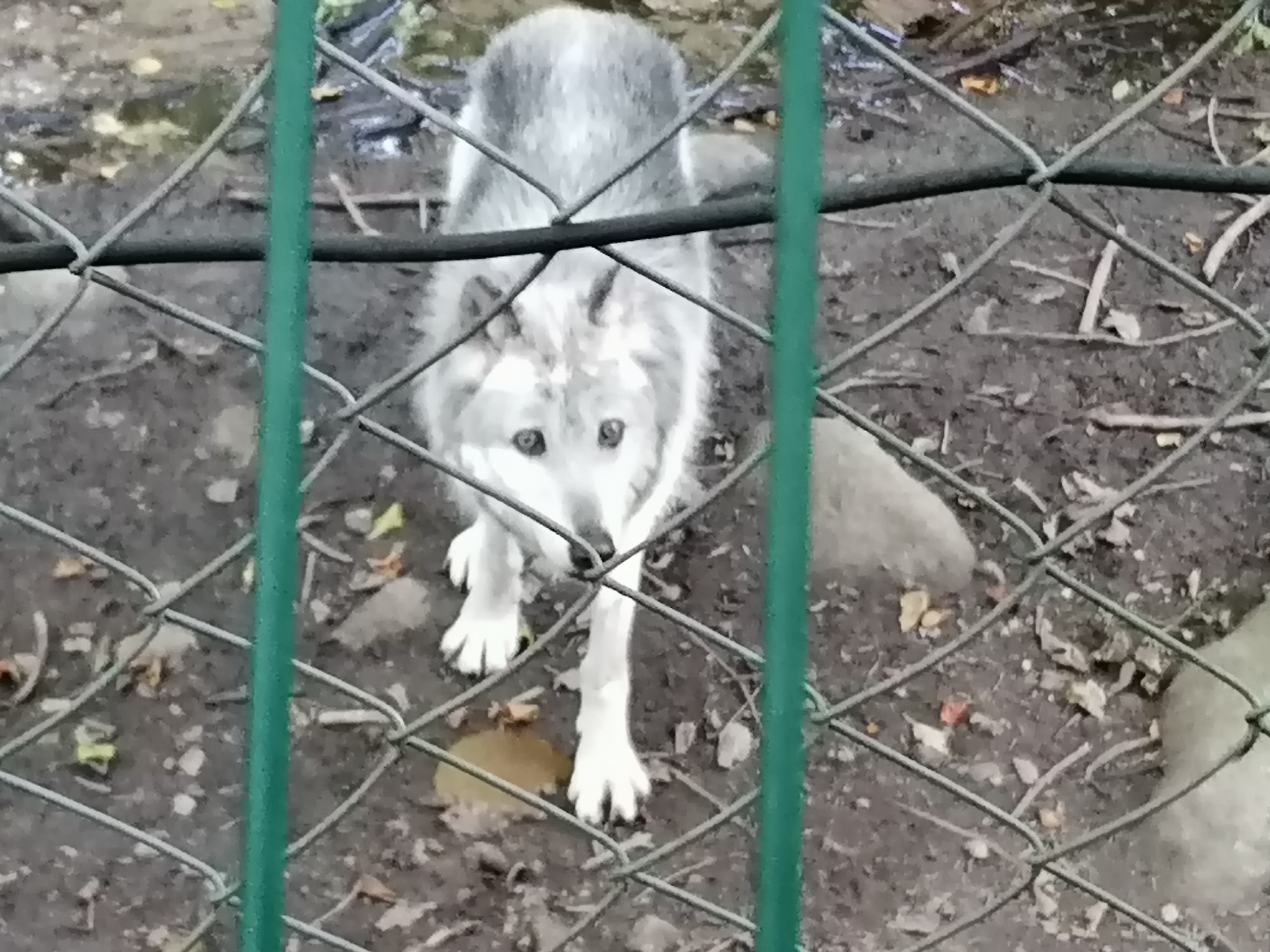 Photo n° 1 de l'avis de Gilles.o fait le 15/08/2023 à 16:36