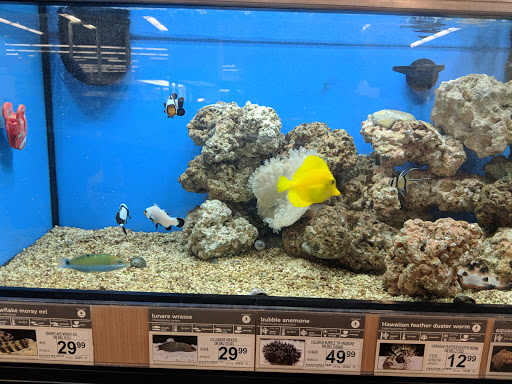 Pet Supply Store «Petco Animal Supplies», reviews and photos, 4491 Kirkwood Hwy, Wilmington, DE 19808, USA