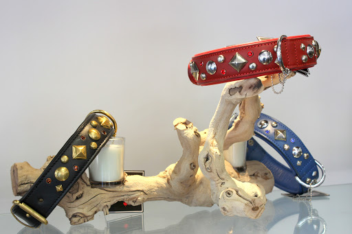 Pet Supply Store «Modern Pet», reviews and photos, 212-77 26th Ave, Bayside, NY 11360, USA