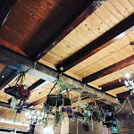 Photo n°6 de l'avis de Evelina.o fait le 02/05/2022 à 22:49 sur le  Velus à Civitanova Marche