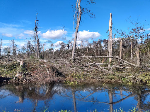 Great Dismal Swamp National Wildlife Refuge