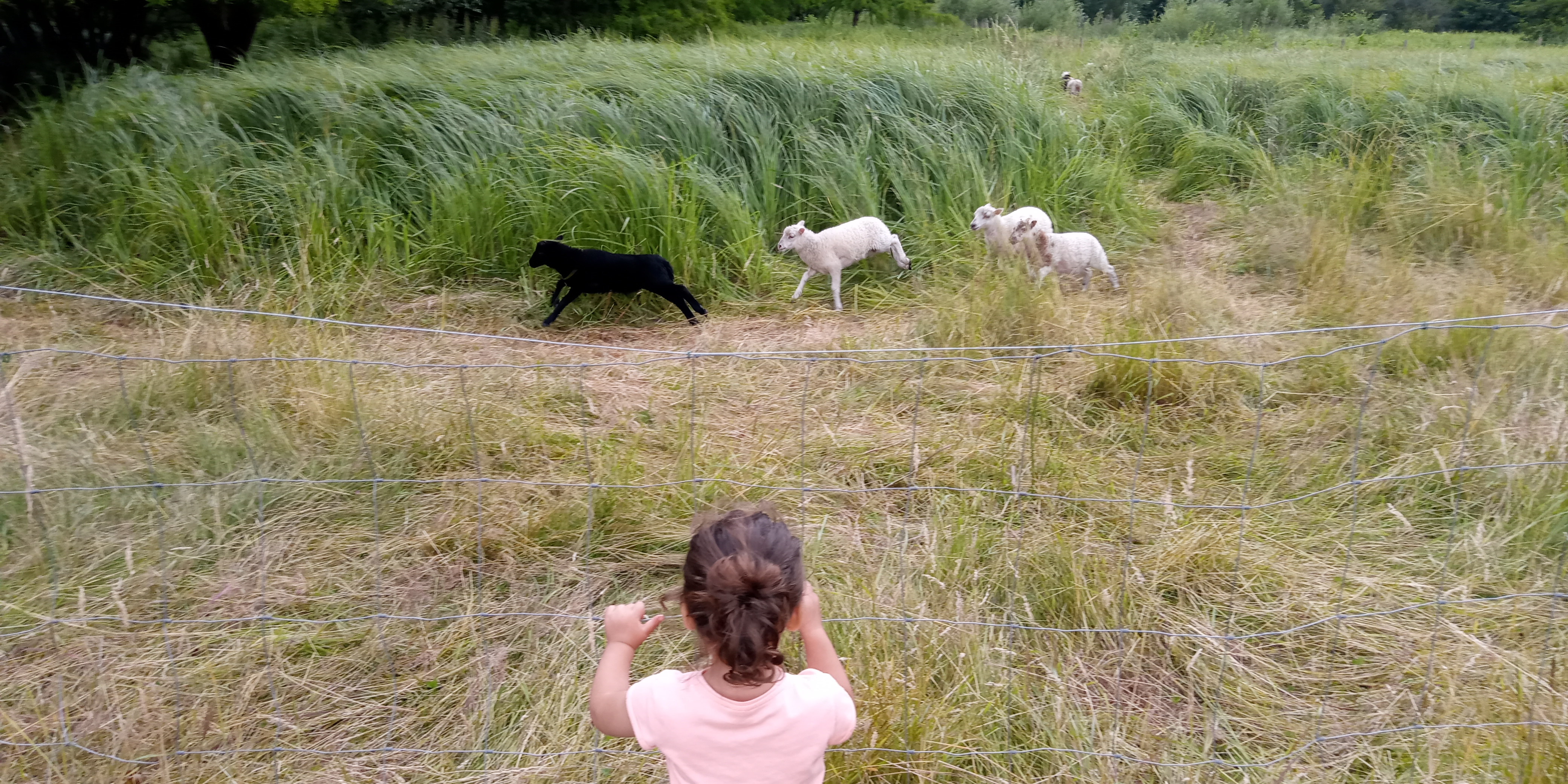 Photo n° 6 de l'avis de Fabien.u fait le 29/06/2020 à 05:58