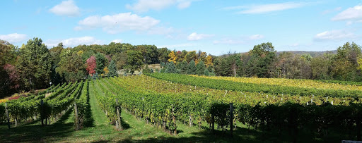Winery «Halbrendt Vineyard & Winery», reviews and photos, 1150 Evergreen Way, Orrtanna, PA 17353, USA