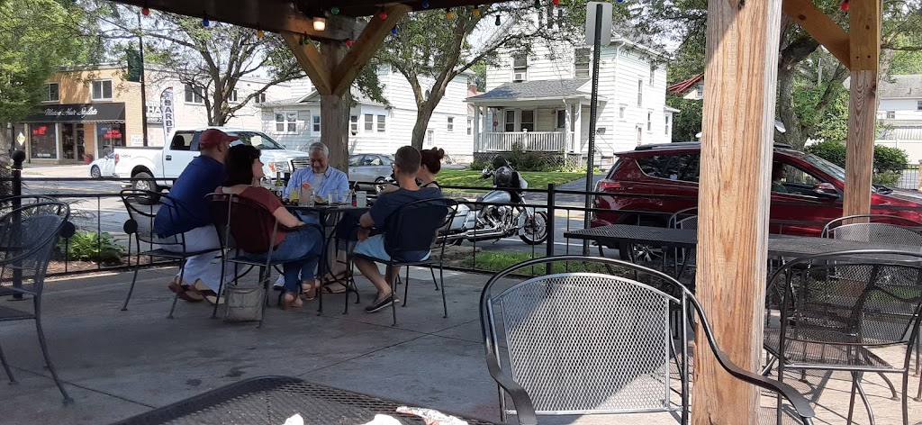 The Silver Iguana 14609