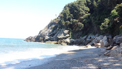 Photo de Tourkopigi Beach avec un niveau de propreté de très propre
