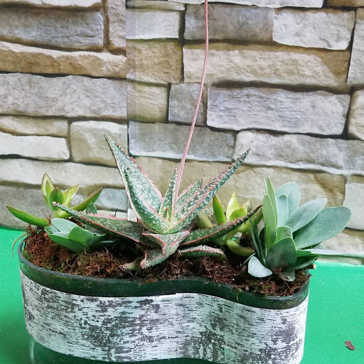 Florist «Artistic East Orlando Florist», reviews and photos, 9906 E Colonial Dr, Orlando, FL 32817, USA