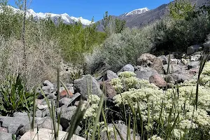 Murdock Canal Trail image