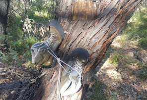 Laptop Repair Service Perth WA