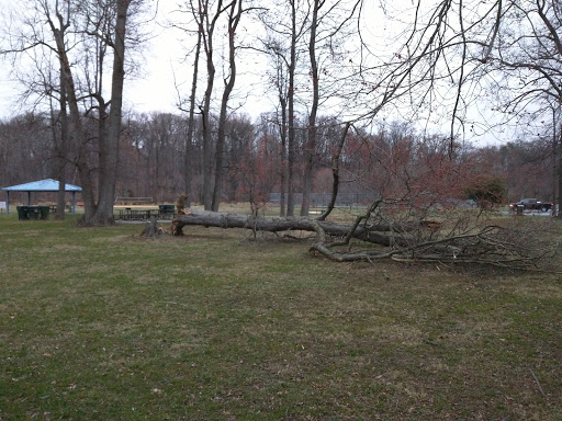 Public Golf Course «Calvert Road Park Disc Golf», reviews and photos, Campus Drive, College Park, MD 20740, USA