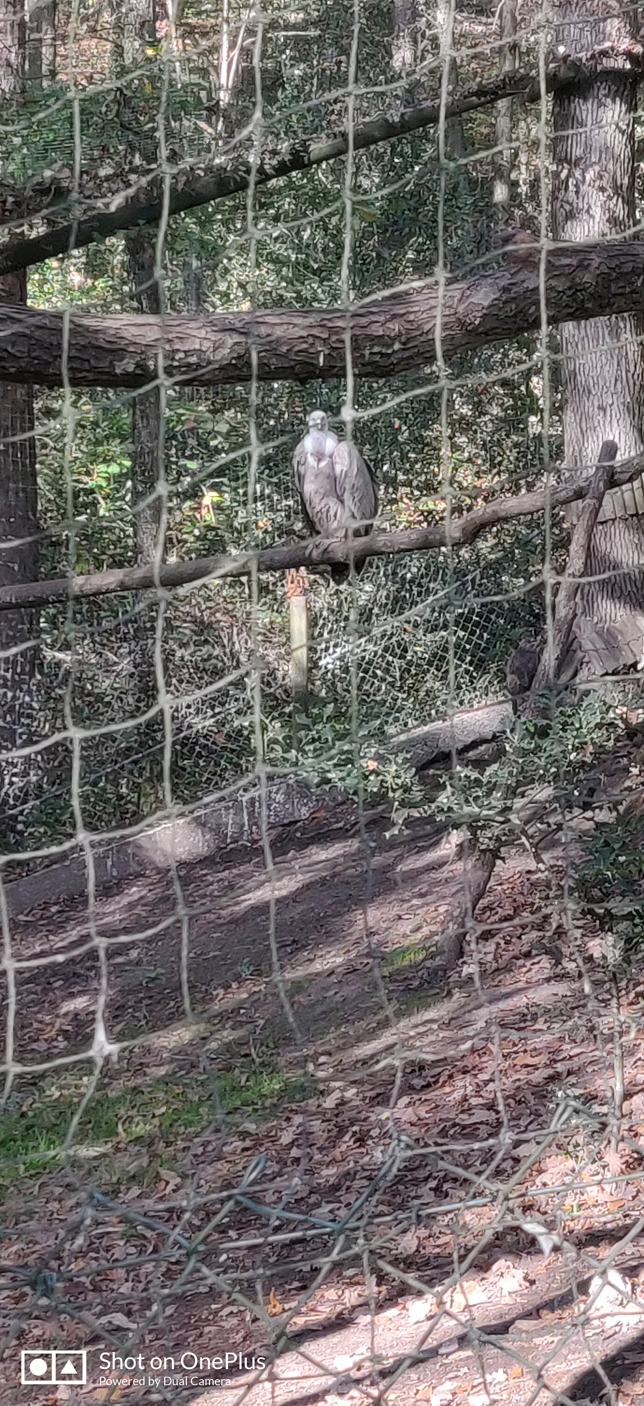 Photo n° 3 de l'avis de Jean-marc.e fait le 01/11/2022 à 19:36