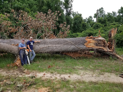 Skinner's Tree & Stump Removal