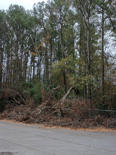 Christian Book Store «ABC Christian Books», reviews and photos, 4003 Memorial Dr, Decatur, GA 30032, USA