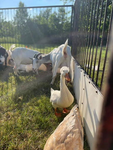 Insurance Agency «Adam Hage - State Farm Insurance Agent», reviews and photos