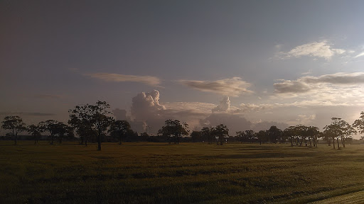 Golf Course «Clear Creek Golf Club», reviews and photos, 3902 Fellows Rd, Houston, TX 77047, USA