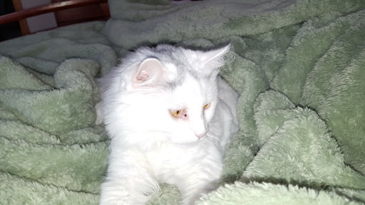 Pet Supply Store «PetSmart», reviews and photos, 4004 US-130, Delran, NJ 08075, USA