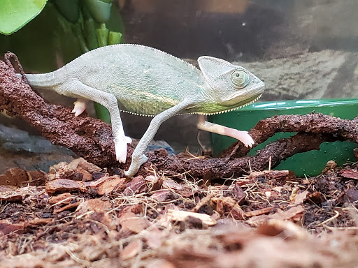 Pet Supply Store «Petco Animal Supplies», reviews and photos, 48 Watertower Plaza, Leominster, MA 01453, USA