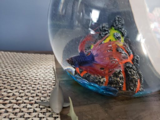 Pet Supply Store «Petco Animal Supplies», reviews and photos, 25 Hazard Ave, Enfield, CT 06082, USA