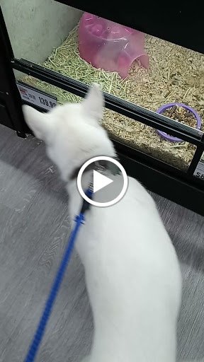 Pet Supply Store «Pet Supplies Plus», reviews and photos, 873 S Main St, Lapeer, MI 48446, USA