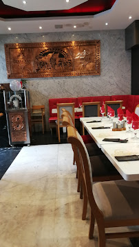 Atmosphère du Restaurant turc Hanedan Restaurant à Saint-Fons - n°12