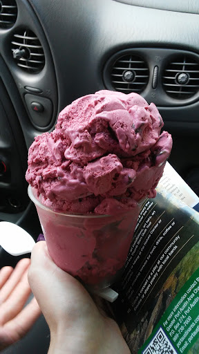 Dessert Shop «Grindstone General Store», reviews and photos, 3206 Copeland Rd, Port Austin, MI 48467, USA