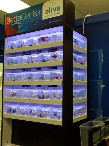 Pet Store «The Pet Place», reviews and photos, 240 Shadowline Dr, Boone, NC 28607, USA