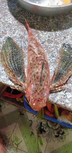 Top 20 cửa hàng akemi Huyện Lý Sơn Quảng Ngãi 2022