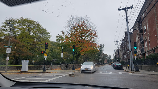 Park «Horatio Harris Park», reviews and photos, 85 Harold St, Boston, MA 02119, USA