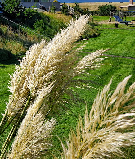 Golf Club «Gearhart Golf Links», reviews and photos, 1157 N Marion Ave, Gearhart, OR 97138, USA