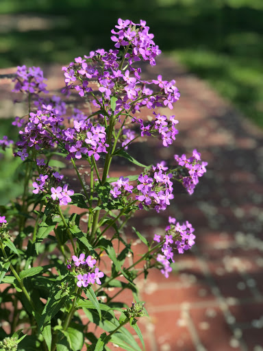 Historical Landmark «Locust Grove», reviews and photos, 561 Blankenbaker Ln, Louisville, KY 40207, USA