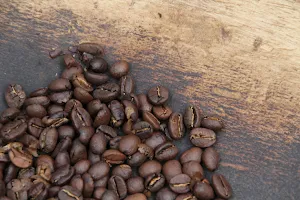 carabica – fine coffee culture image