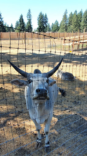 Zoo «Jozee Rooz Indoor Petting Zoo», reviews and photos, 120 138th St S, Tacoma, WA 98444, USA