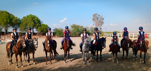 Horse Riding and Pony Club La Moraleja