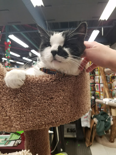 Pet Supply Store «Mad Cat Pet Supplies», reviews and photos, 7820 Mineral Point Rd, Madison, WI 53717, USA