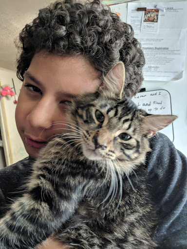 Pet Supply Store «Petco Animal Supplies», reviews and photos, 1201 E Washington Ave, Union Gap, WA 98903, USA