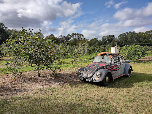 Farm «Butrico Groves Orange Grove», reviews and photos, 6065 Magnolia St, Mims, FL 32754, USA