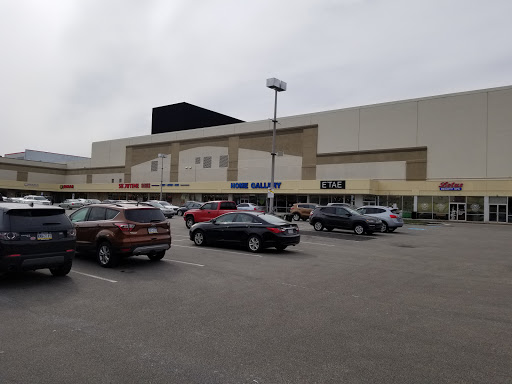Shopping Mall «Cedarbrook Plaza Shopping Center», reviews and photos, 1000 Easton Rd, Wyncote, PA 19095, USA