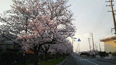 コインランドリー しゃぼん 江場店