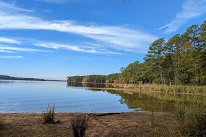 Harris Lake County Park image