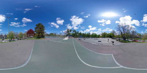 Albany Bluebanks Skatepark. image 9