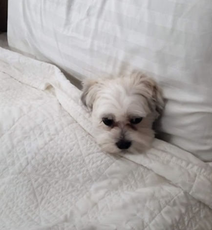 Pet Store «The Pet Zone», reviews and photos, 2001 South Rd, Poughkeepsie, NY 12601, USA