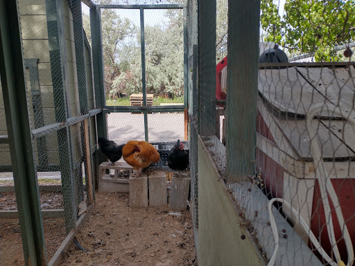 Plant Nursery «Rockin E Country Store», reviews and photos, 1201 W 500 S, Woods Cross, UT 84087, USA