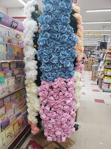 Discount Store «99C Always Plus», reviews and photos, 691 Franklin Ave, Franklin Square, NY 11010, USA