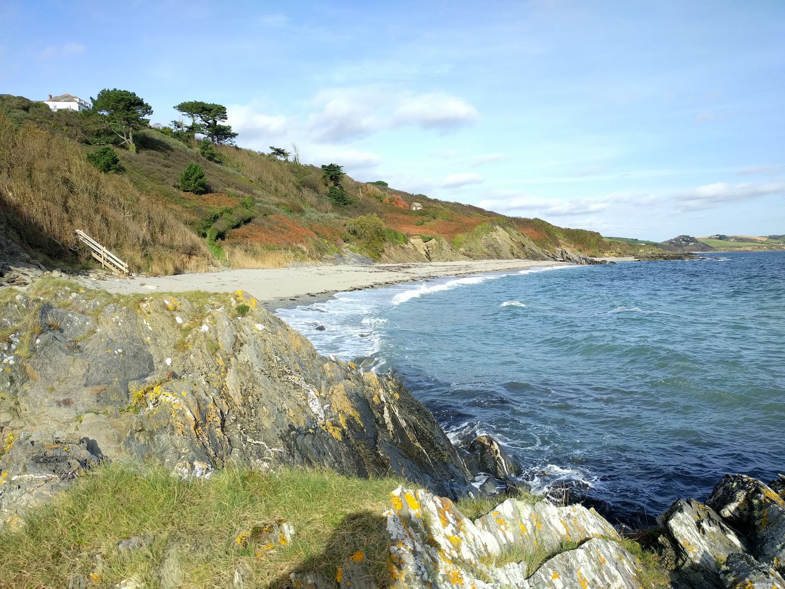 Foto af Porthbean beach beliggende i naturområde