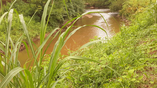 Park «Cleveland Park», reviews and photos, Cleveland Park Drive & East Washington, Greenville, SC 29601, USA