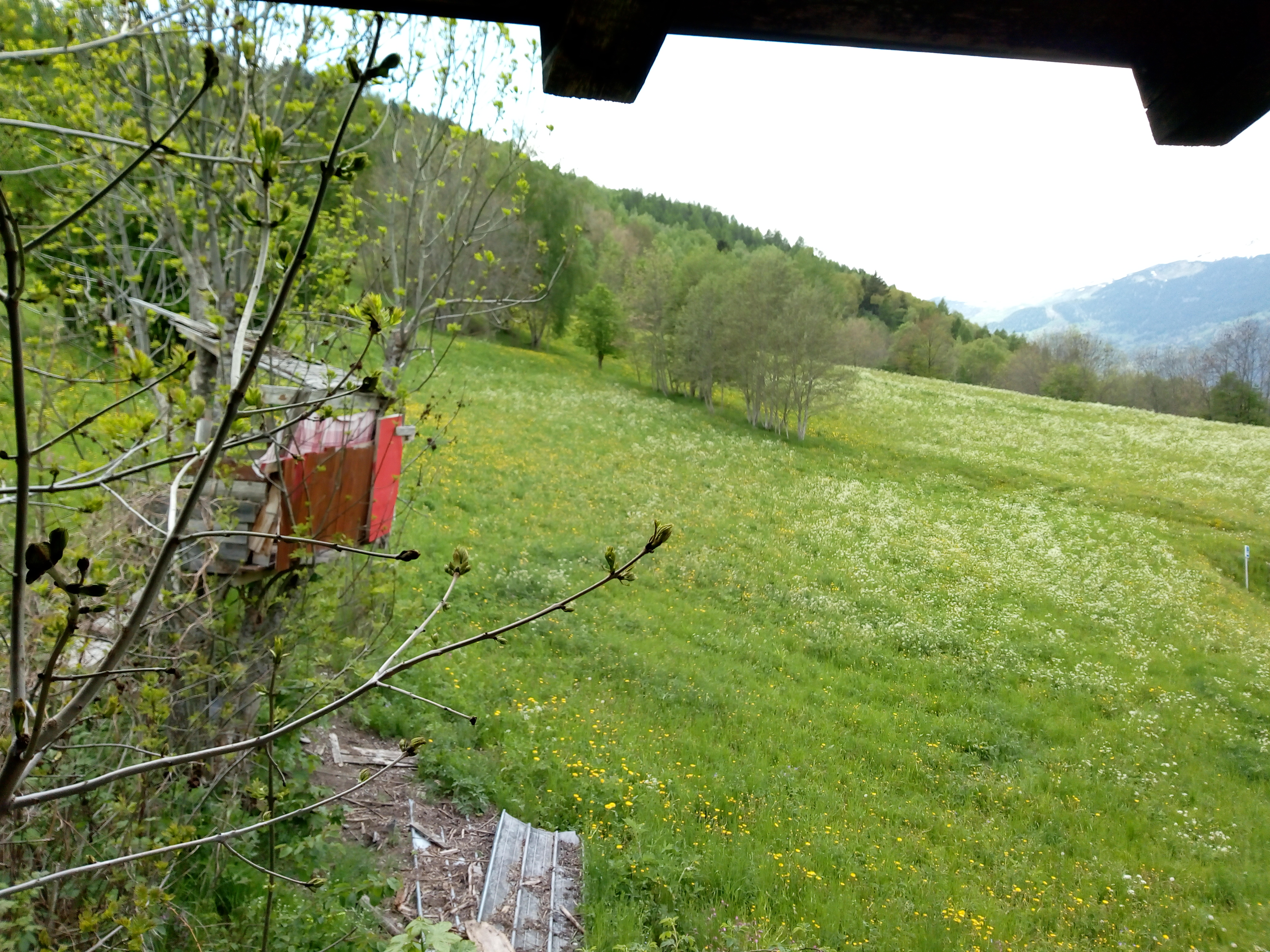 Photo n° 1 de l'avis de Bigoo.i fait le 27/05/2019 à 15:51