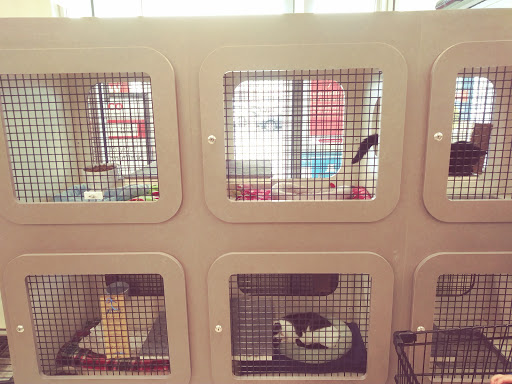 Pet Supply Store «Petco Animal Supplies», reviews and photos, 41 Narrows Shopping Center, Edwardsville, PA 18704, USA