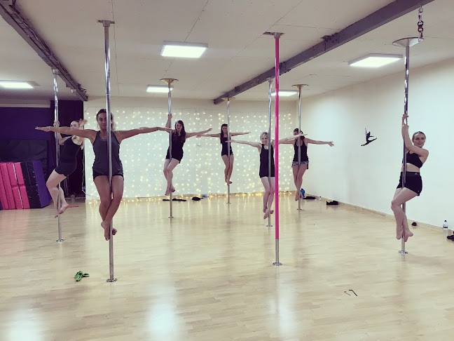 LaKiTa Dance Pole And Aerial Arts Studio - Dance school